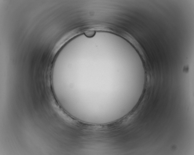X0000112851002200908211026