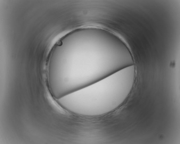 X0000112851003200908211026