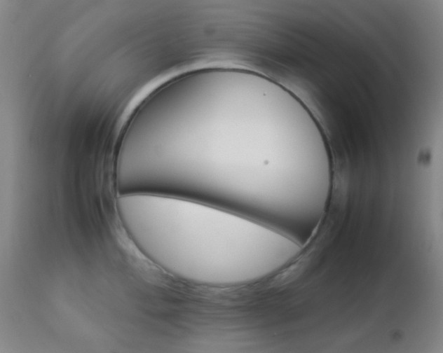 X0000112851004200908211026