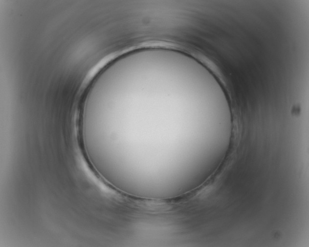 X0000112851007200908211026