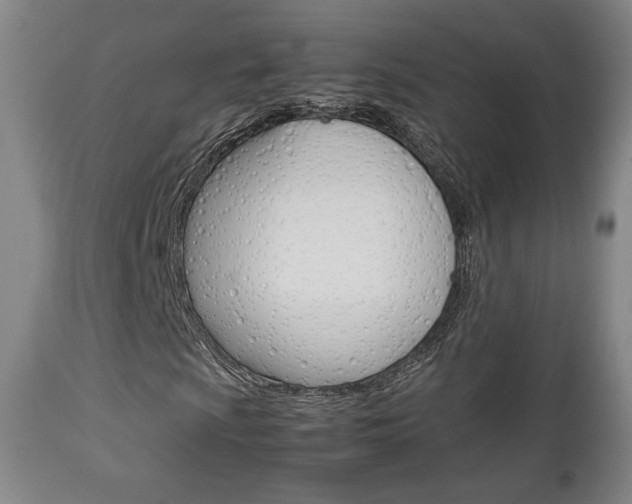 X0000112851009200908211025