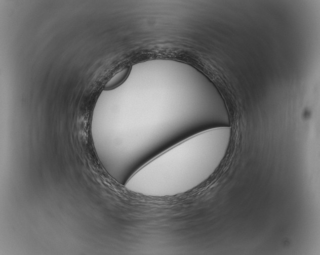 X0000112851010200908211025