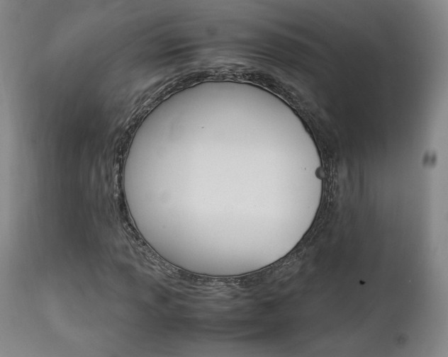 X0000112851013200908211025