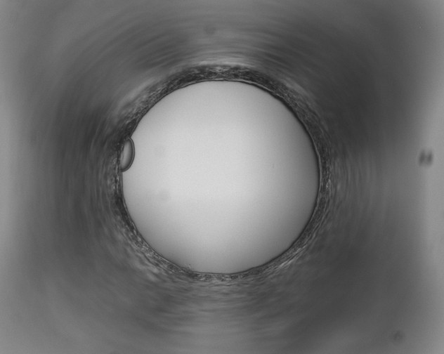 X0000112851014200908211025