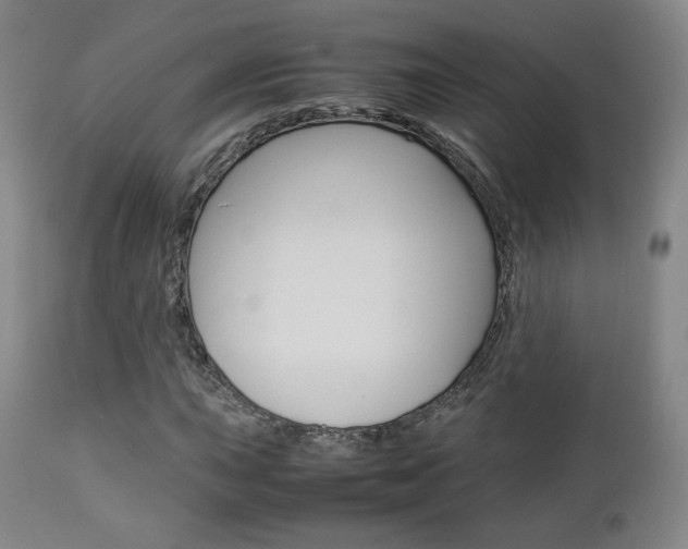 X0000112851015200908211025
