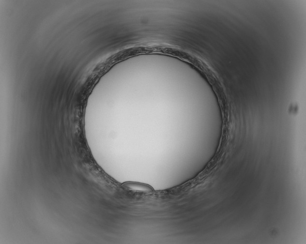 X0000112851016200908211025