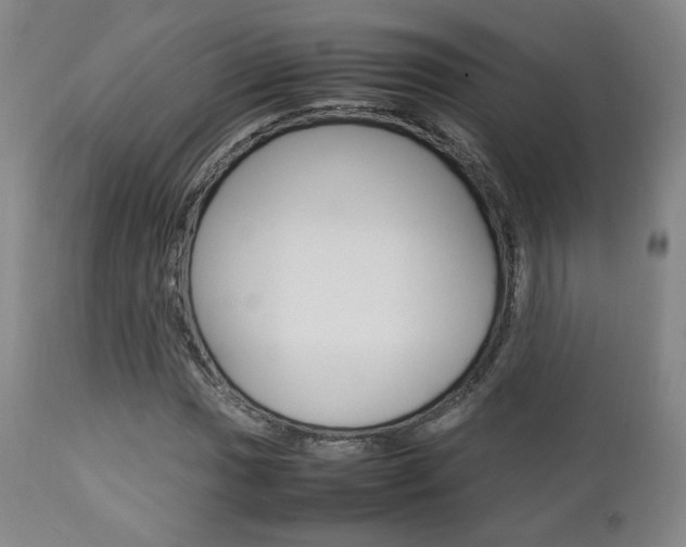 X0000112851017200908211025