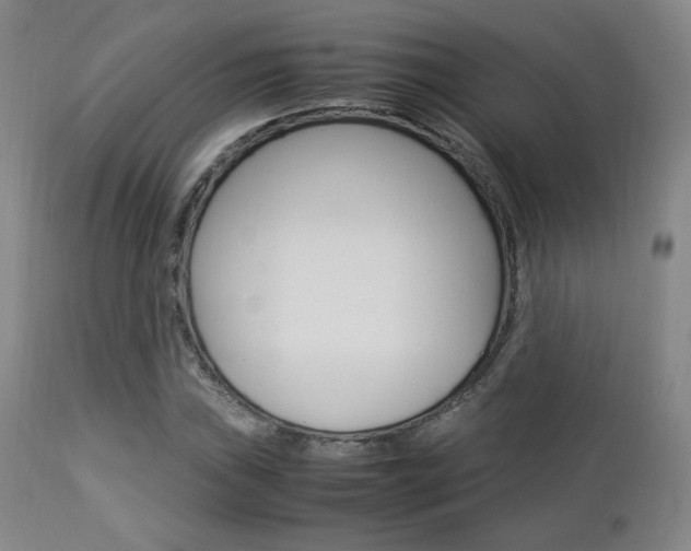 X0000112851019200908211025