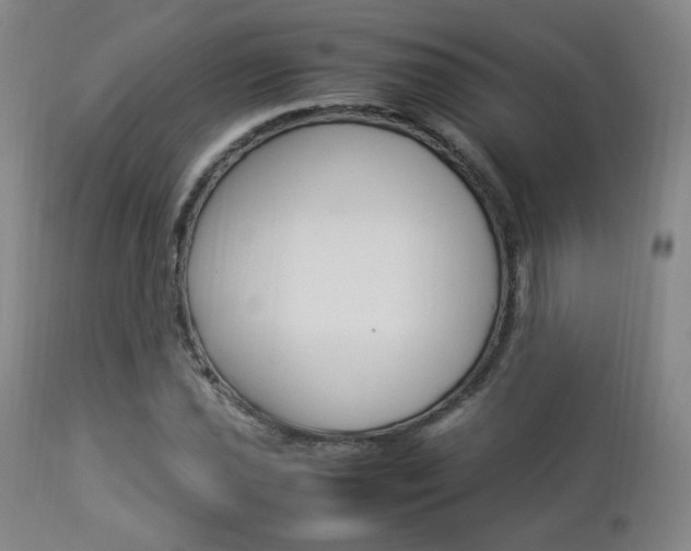 X0000112851021200908211025