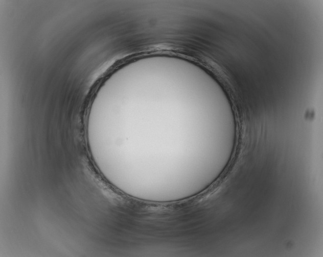 X0000112851023200908211026