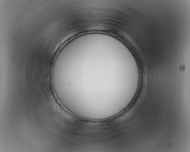 X0000112851025200908211026