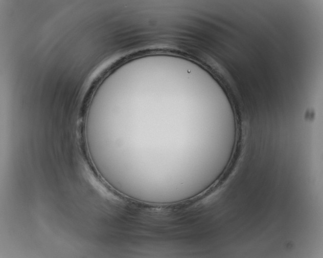 X0000112851029200908211026