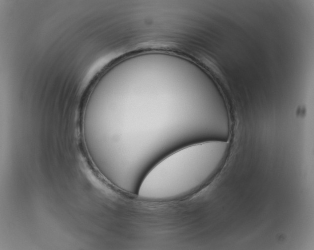 X0000112851030200908211026