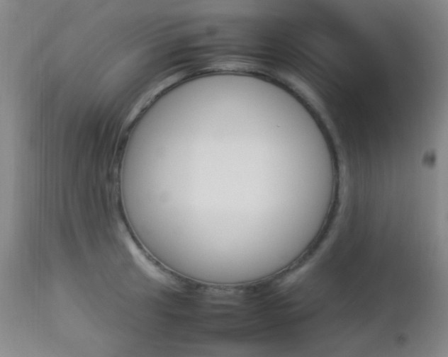 X0000112851041200908211026