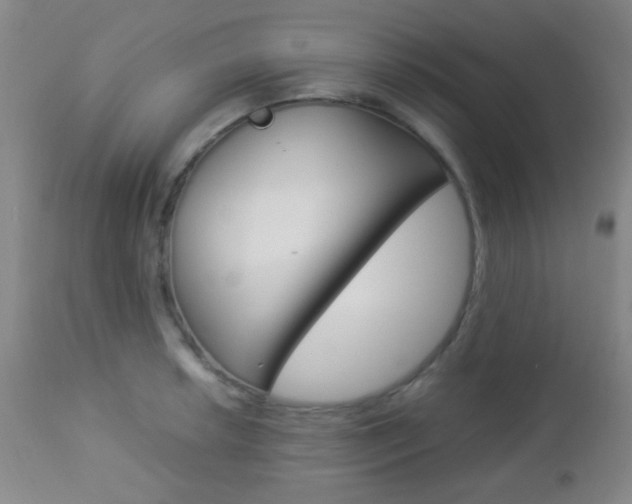 X0000112851042200908211026