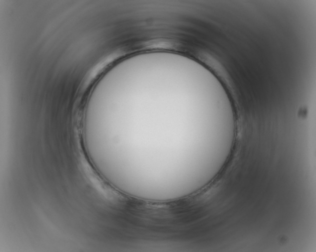 X0000112851043200908211026