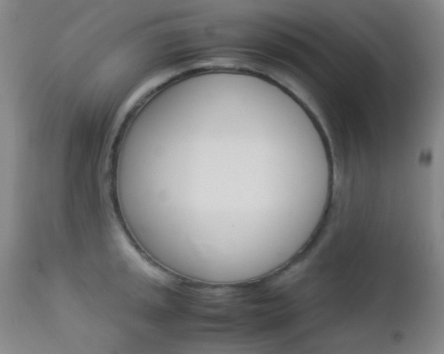 X0000112851045200908211026