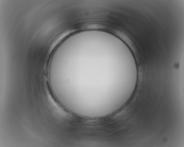 X0000112851047200908211026