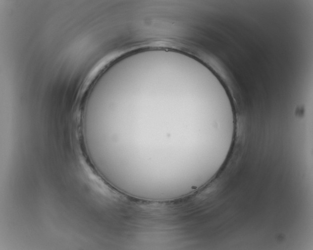 X0000112851048200908211026