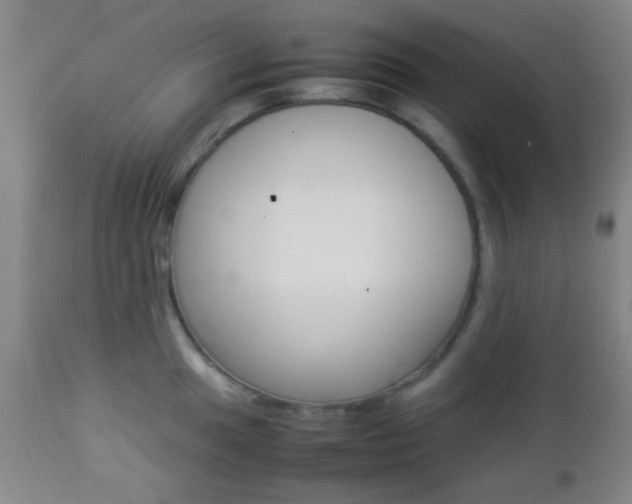 X0000112851049200908211026