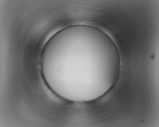 X0000112851050200908211026