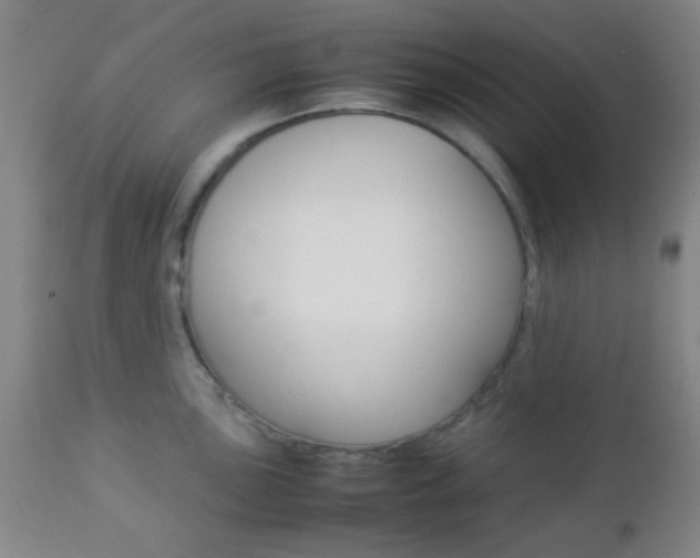 X0000112851051200908211026