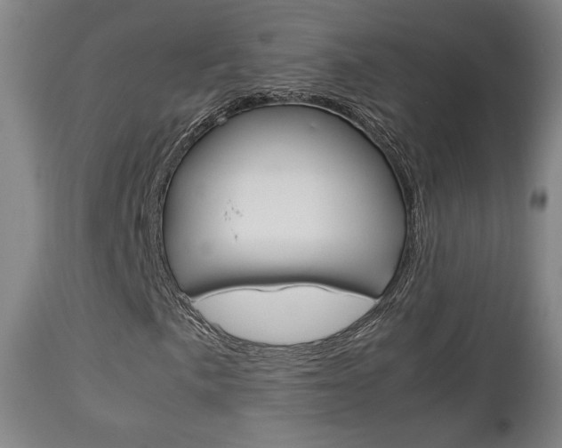 X0000112851057200908211025