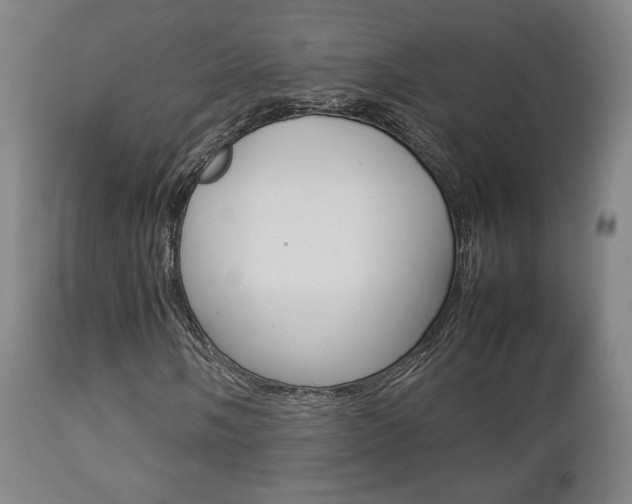 X0000112851058200908211025