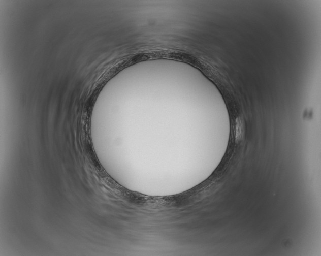 X0000112851059200908211025