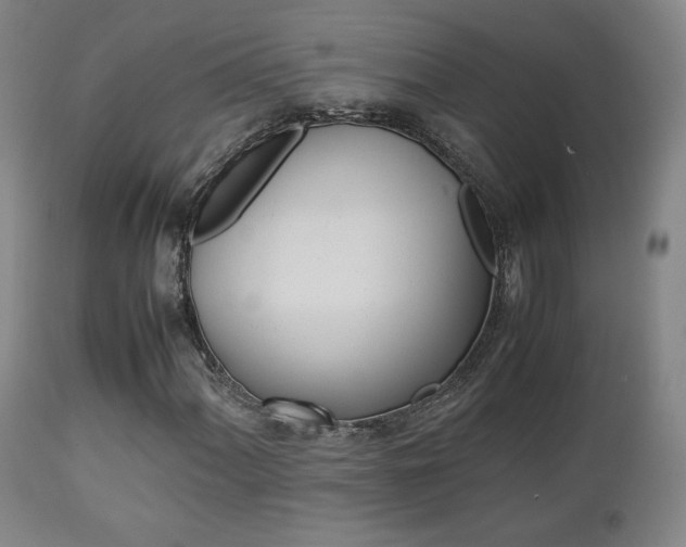X0000112851060200908211025
