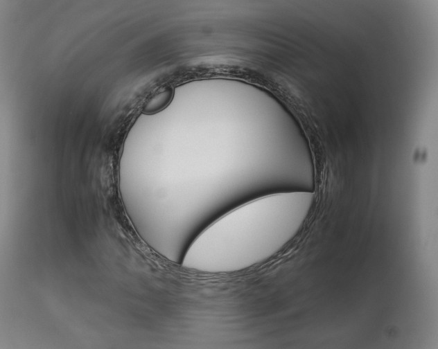 X0000112851062200908211025