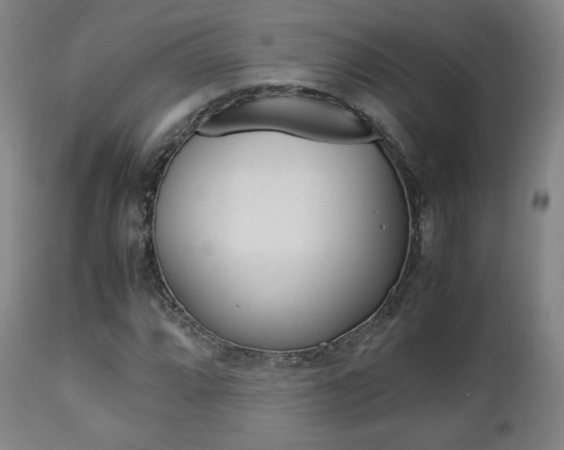 X0000112851064200908211025