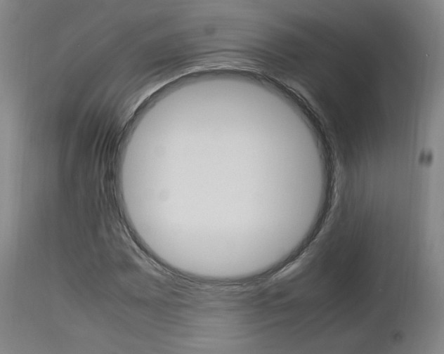 X0000112851065200908211025