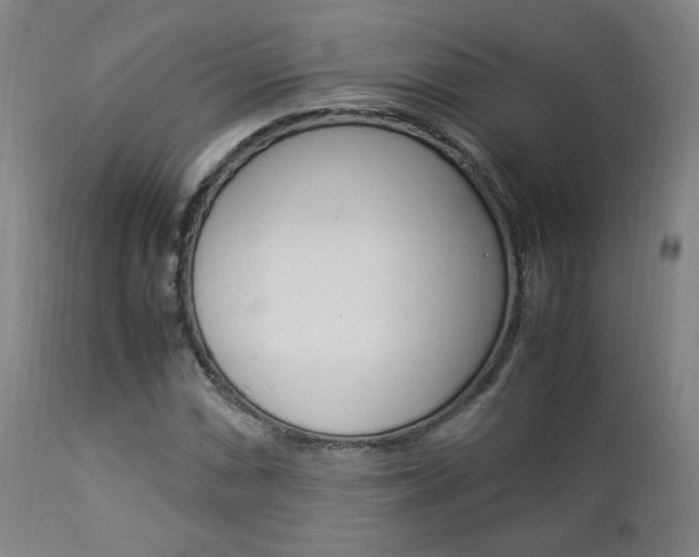 X0000112851066200908211025
