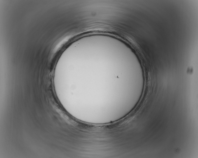 X0000112851067200908211025