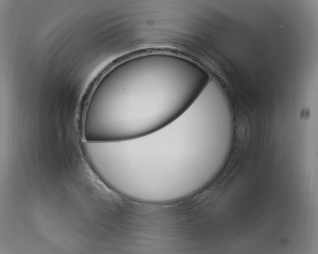 X0000112851068200908211025