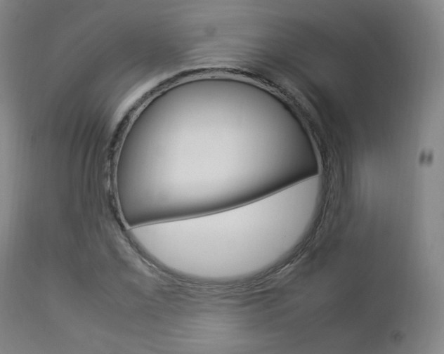 X0000112851069200908211025