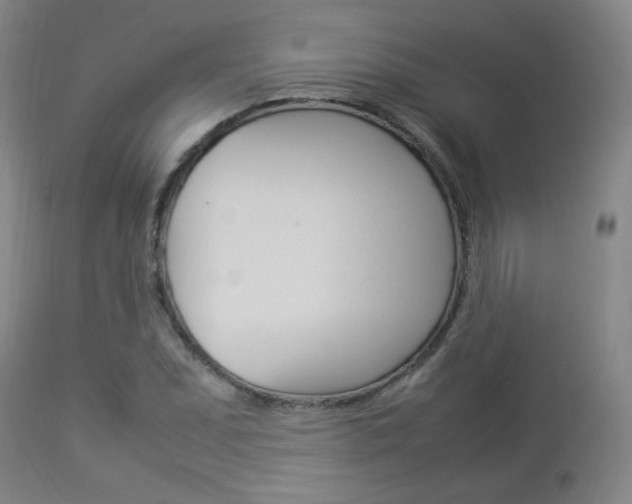 X0000112851071200908211025