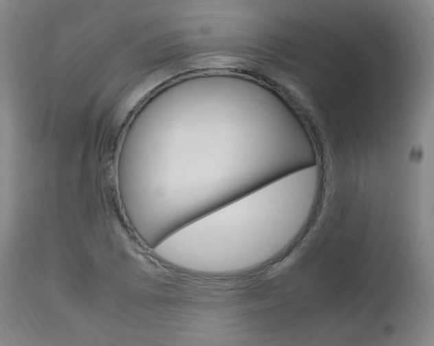 X0000112851073200908211025