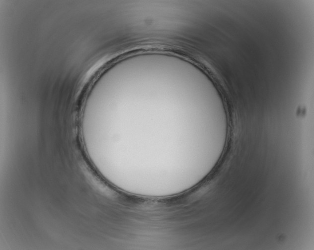 X0000112851075200908211025