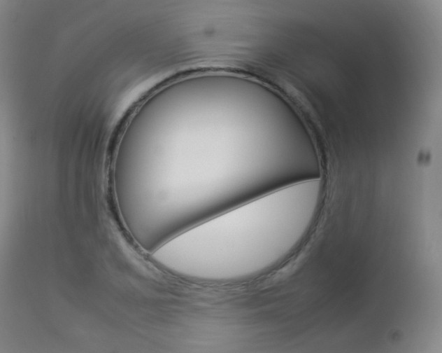 X0000112851077200908211025