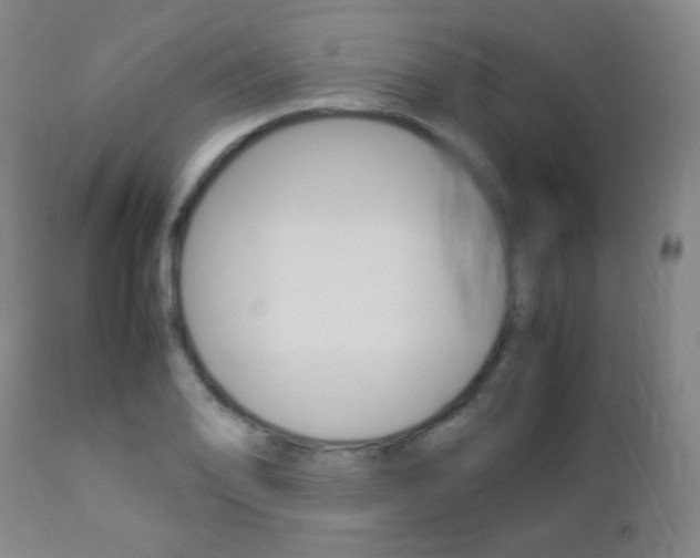 X0000112851078200908211025