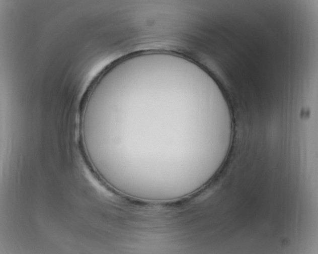 X0000112851079200908211025