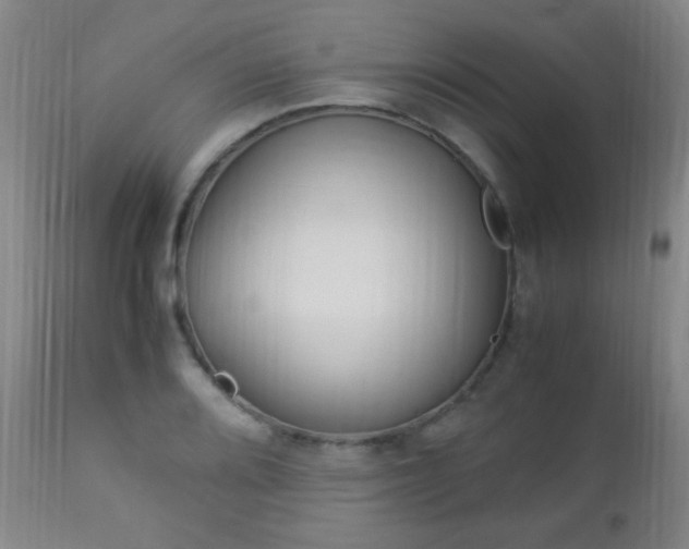 X0000112851080200908211025