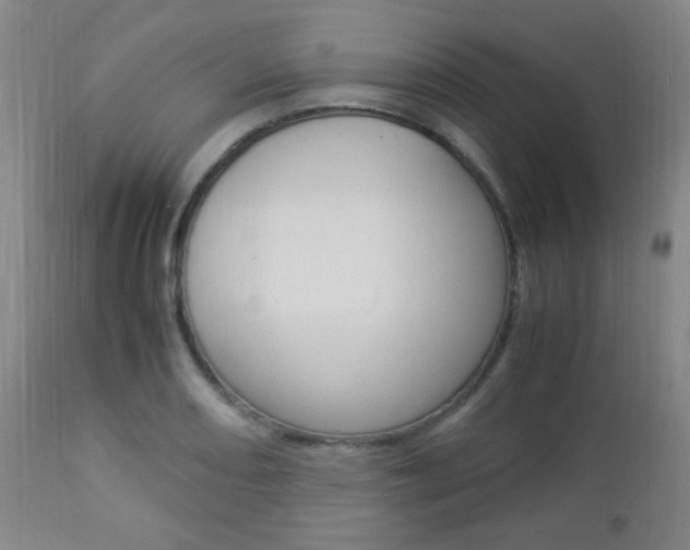 X0000112851082200908211025