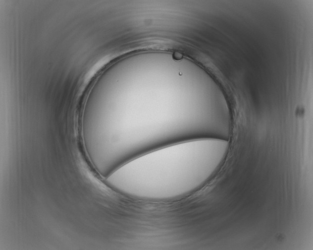 X0000112851083200908211025