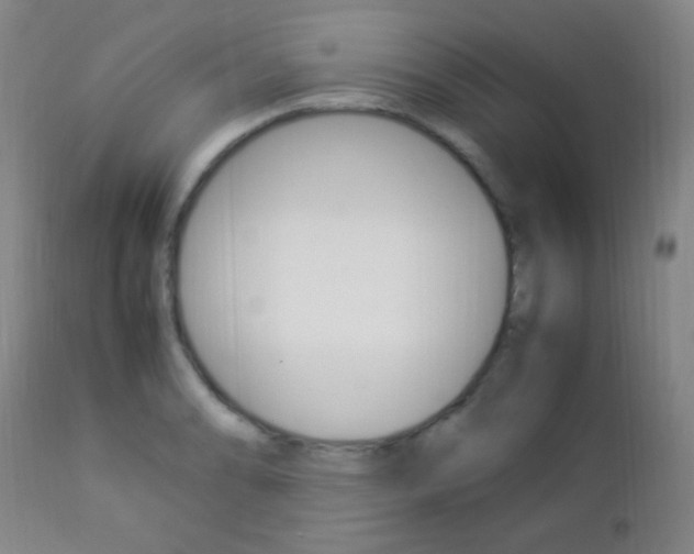 X0000112851086200908211025