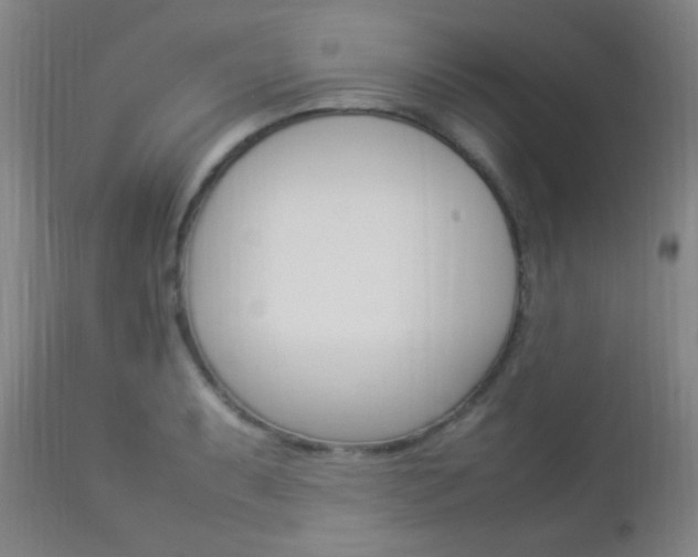 X0000112851087200908211025