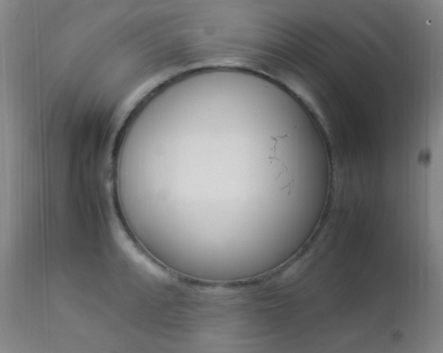 X0000112851088200908211025