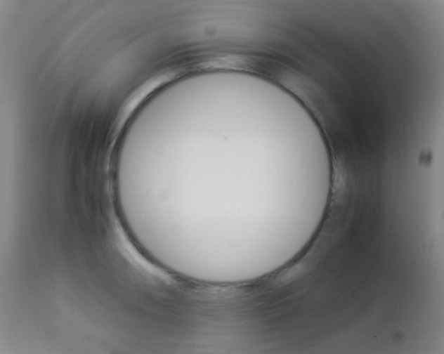 X0000112851090200908211025